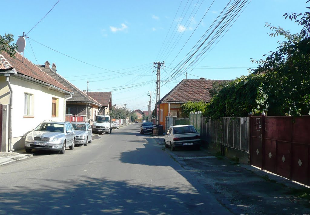 Str. Timişului - Tömös utca by Rab Sandor