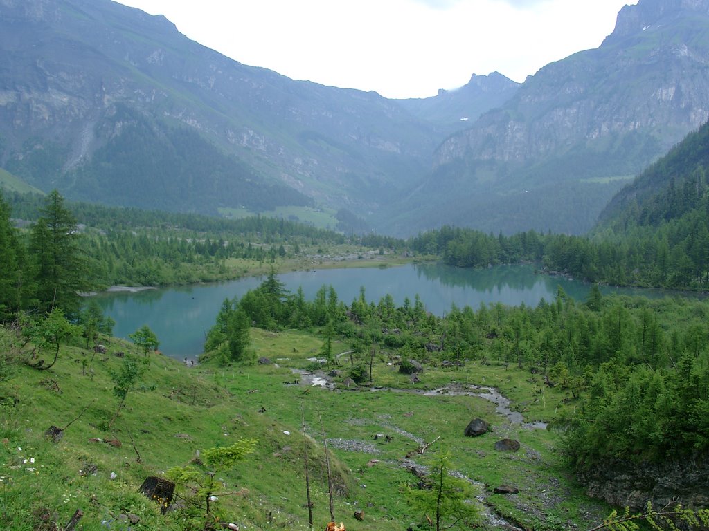 Lac de Derborence by Mathieu Vernin