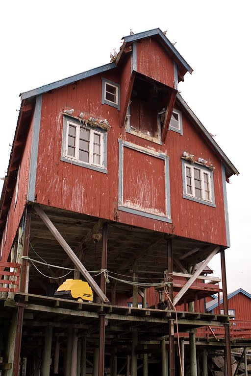 Sjøhus at Å by Sverre