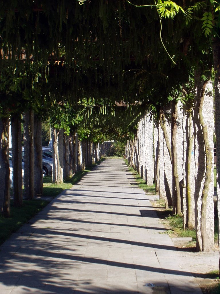 Shady walk in Monforte de Lemos by Brian Simmons