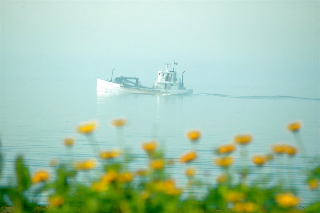 Hazy Summer Morning by GWHoffman