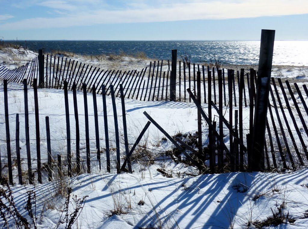 Winter at Long Beach West by GWHoffman