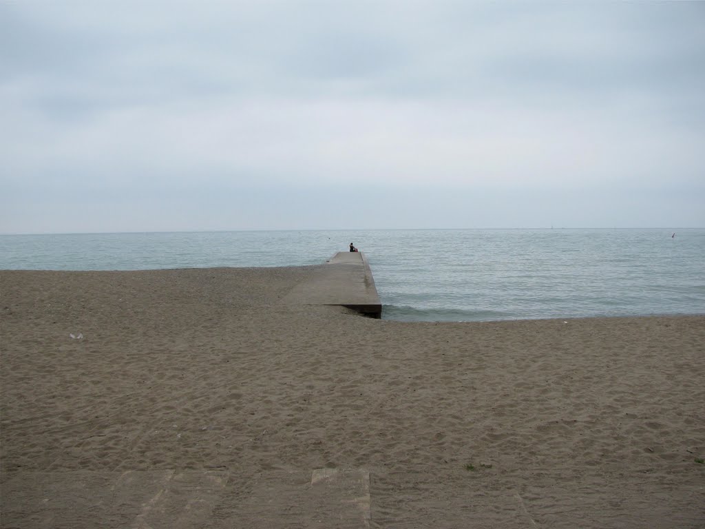 Lake Ontario Skyline at The Beaches by Ian T