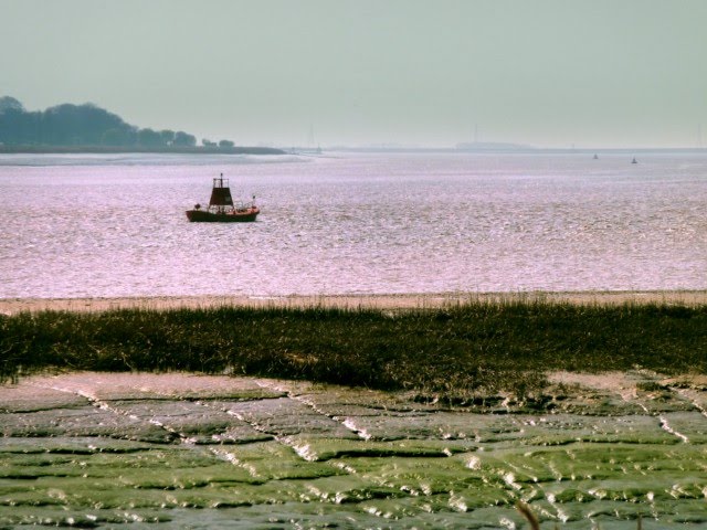 River Humber at Brough by david105