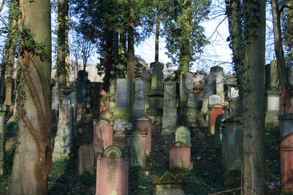 Alter Judenfriedhof in Hemsbach by RobX