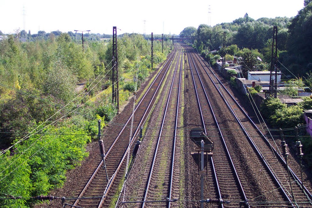 Streckengleise und Vorsignal von hinten by Hurrug