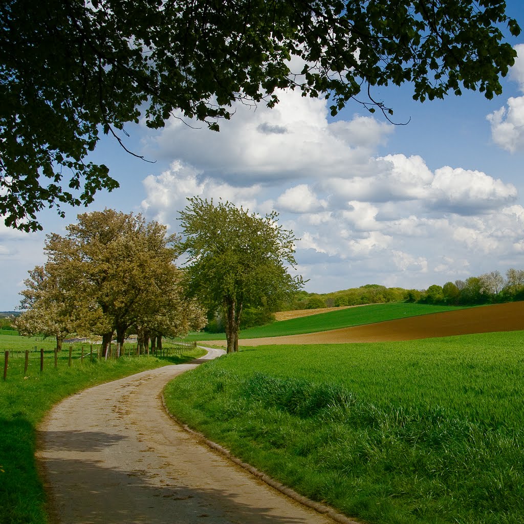 Goodsleiweg by Bert Alink