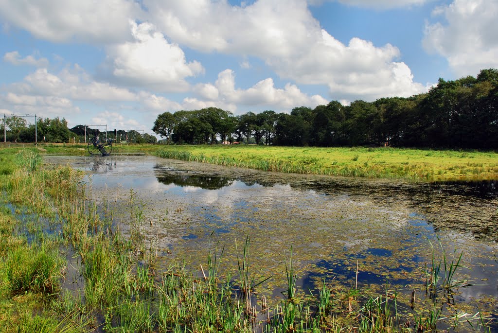 Zwieseborg by Wim Wind