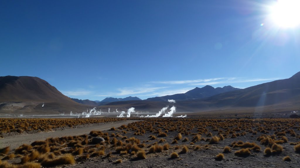 Geyser del Tatio by polodv75