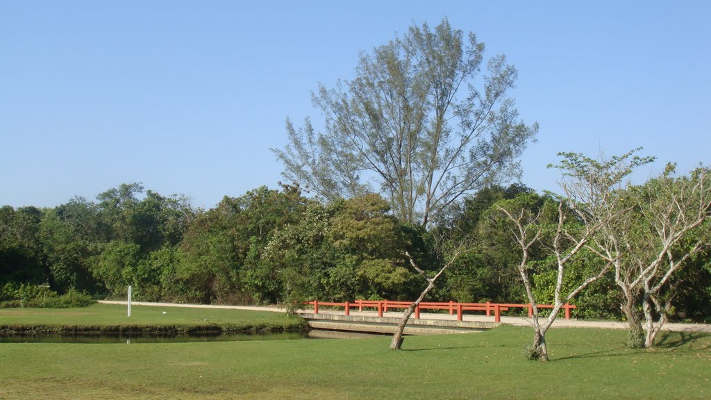 Bosque da Barra - Ponte Vermelha by Mário Reis Filho