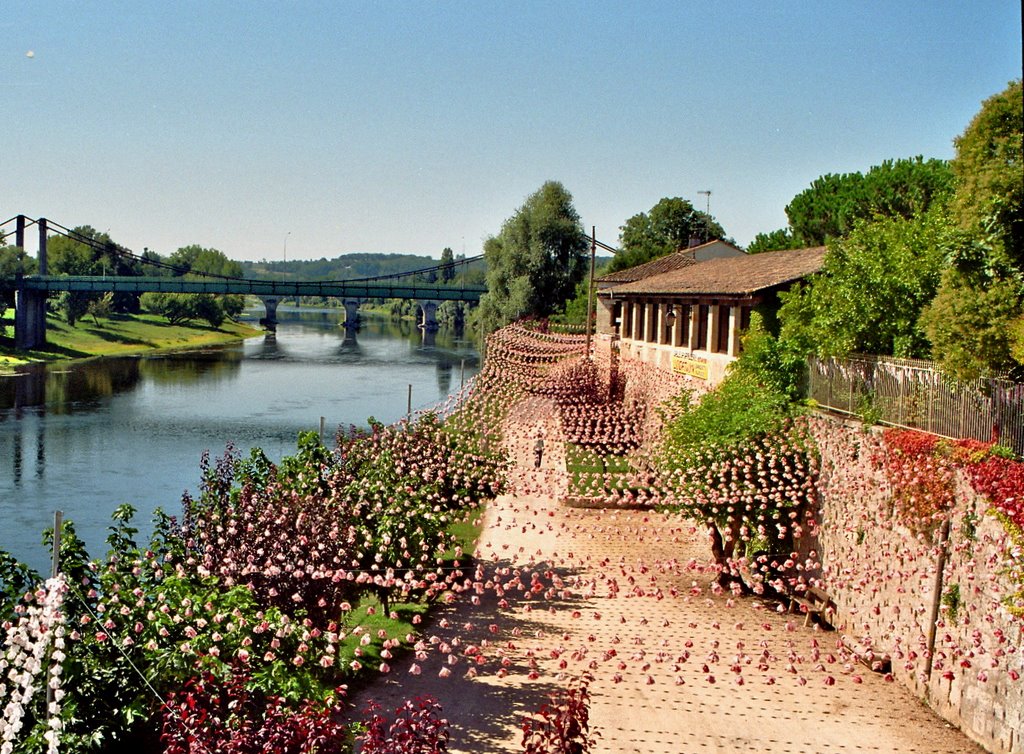 Dordogne-Ste -Foy-la Grande by marcia Ribeiro Moreira