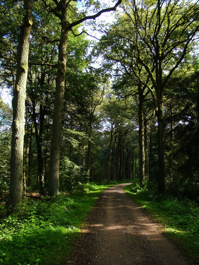 Het Goor, Helmond by mzw a.k.a. uaf