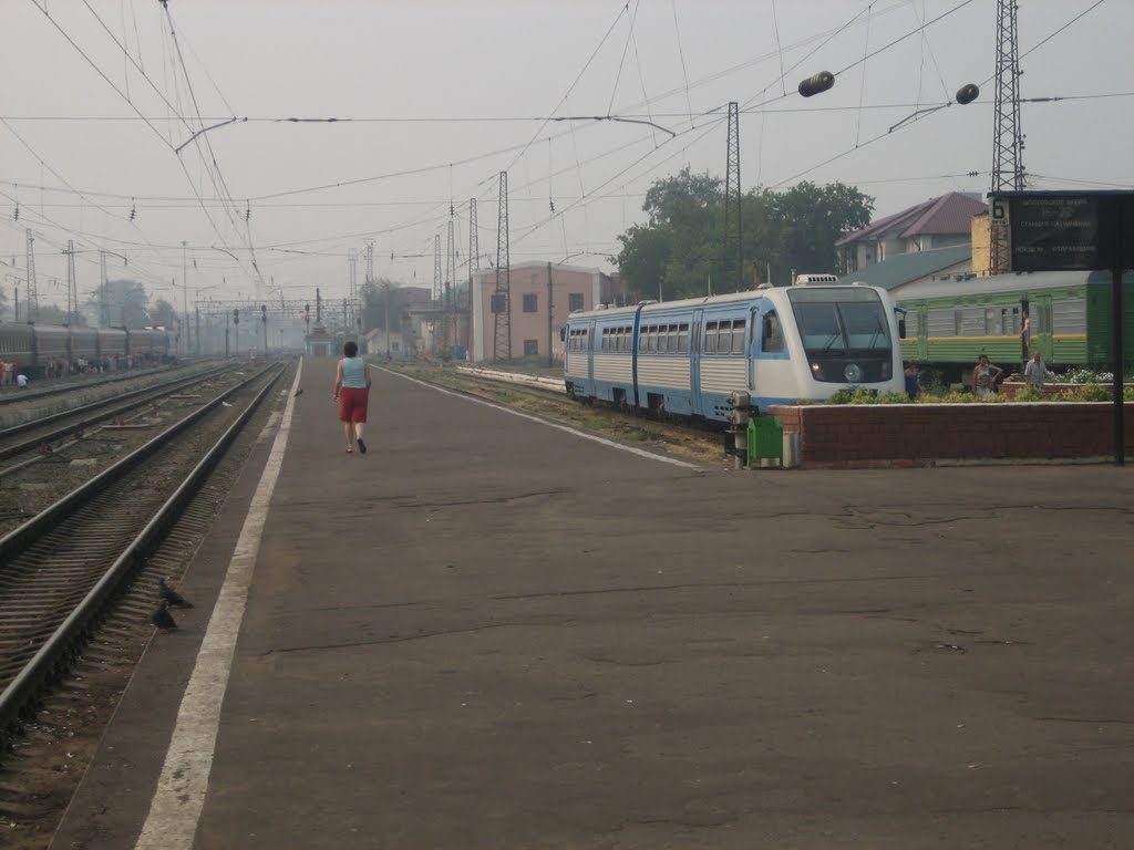 The railway express train - Железнодорожный экспресс by alexx-tver