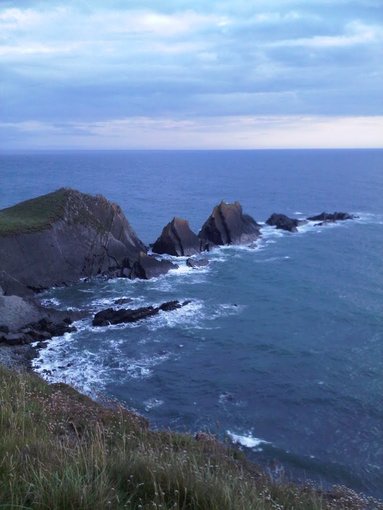 Hartland Quay Devon by Martin Hutchings