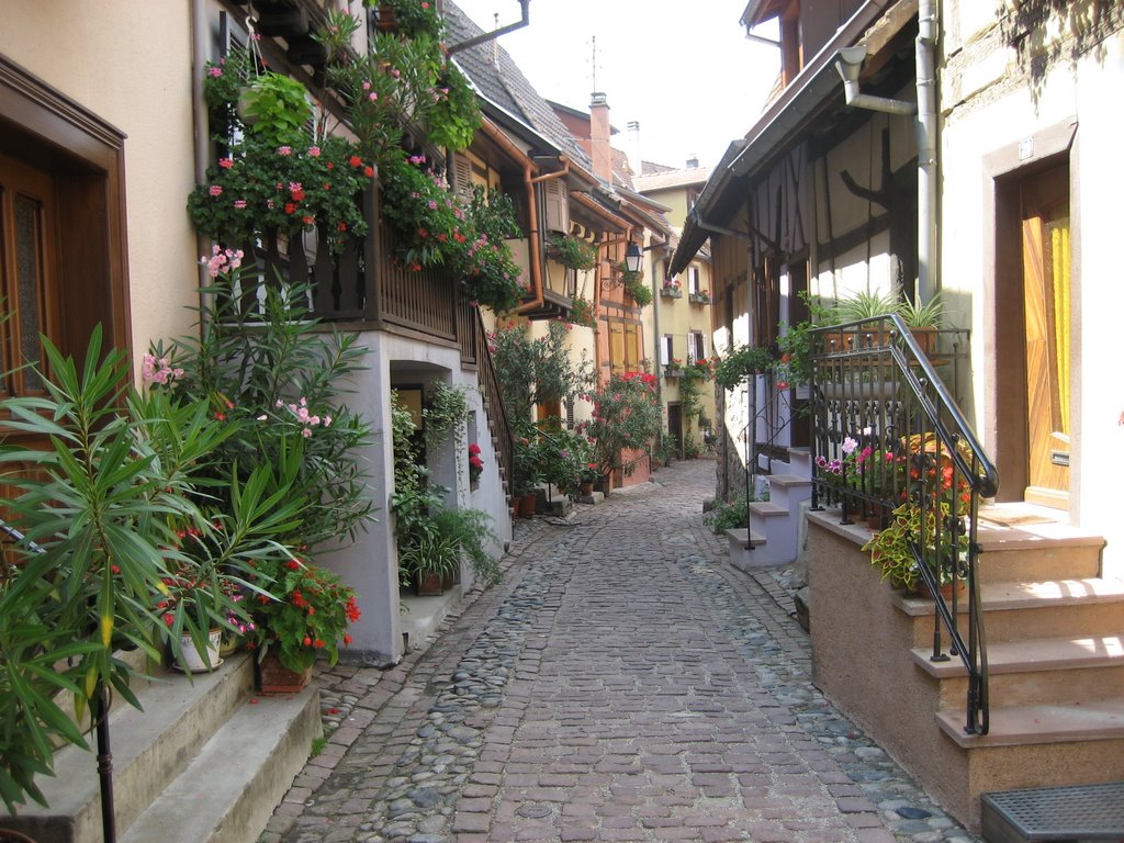 Eguisheim, France by remyjungen