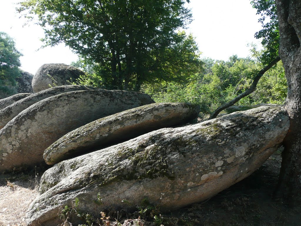 BULGARIA by Nikolai Karaneschev