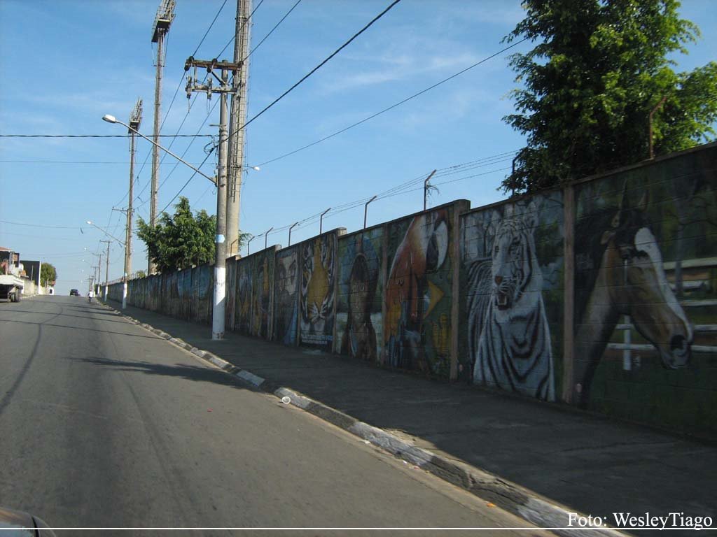 Estádio de Futebol ECUS. Muro lateral, pintado por Planet Criatividade by Wesley Anibal