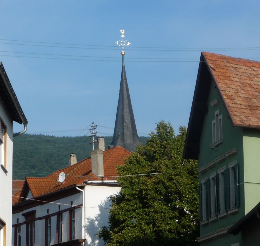 Diedesfeld, 67434 Neustadt an der Weinstraße, Germany by Immanuel Giel