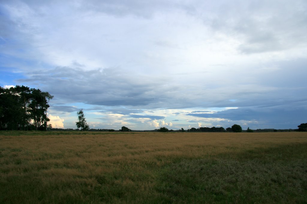 Strabrechtse Heide by Wim Janssen