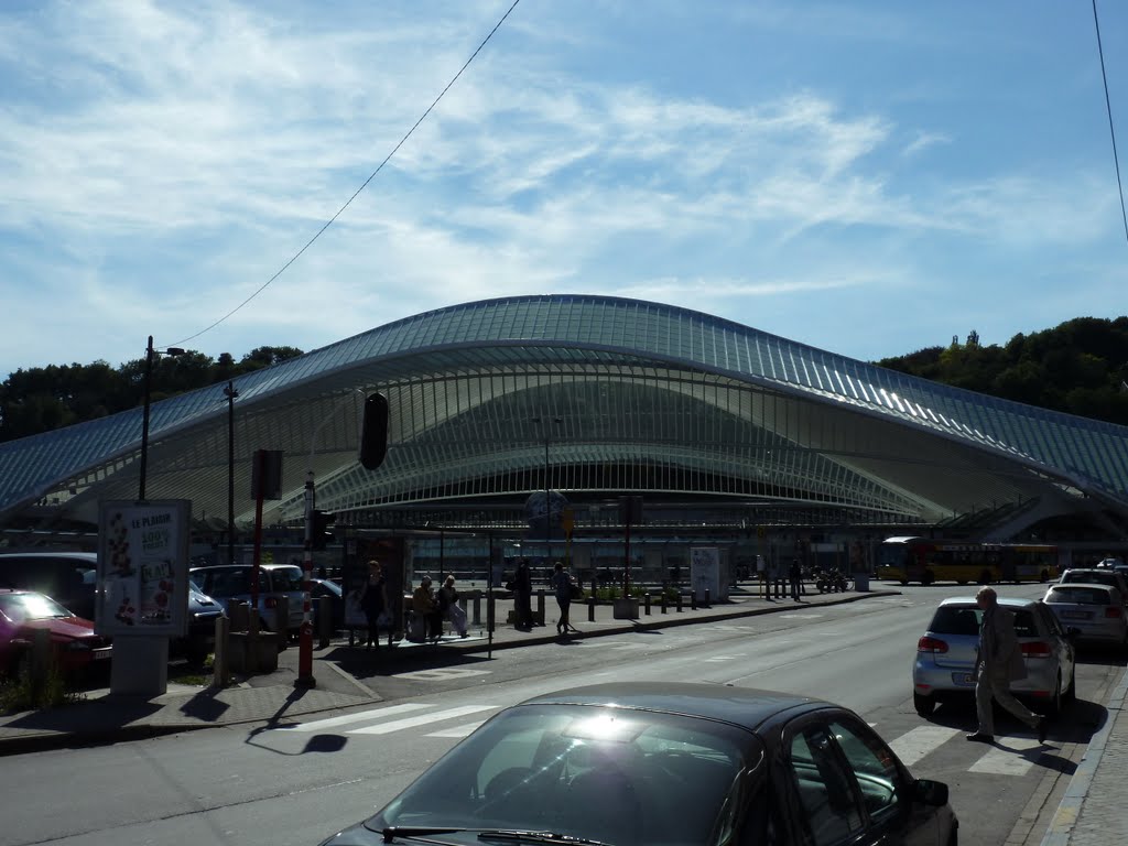 Lüttich: Bahnhof Liege-Guillemins by Ralf Houven