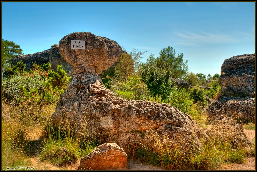 La Foca by Juan Sáez