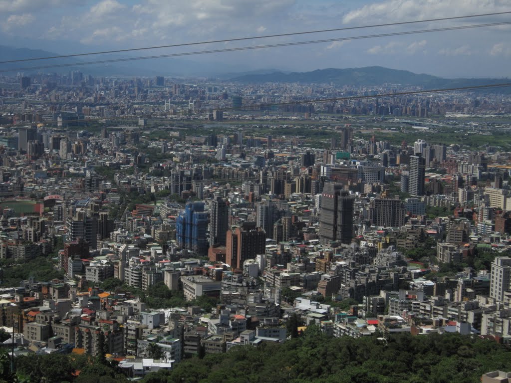 天母山上看台北市 by susan curry