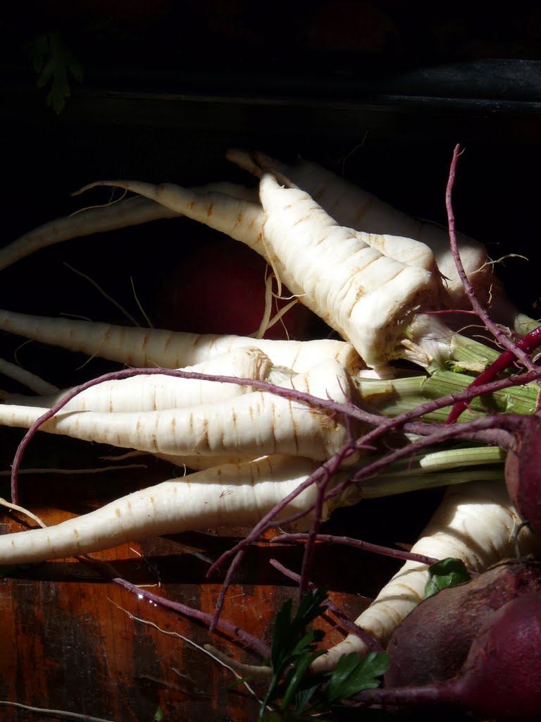 Parsnips in sun by David Bearden