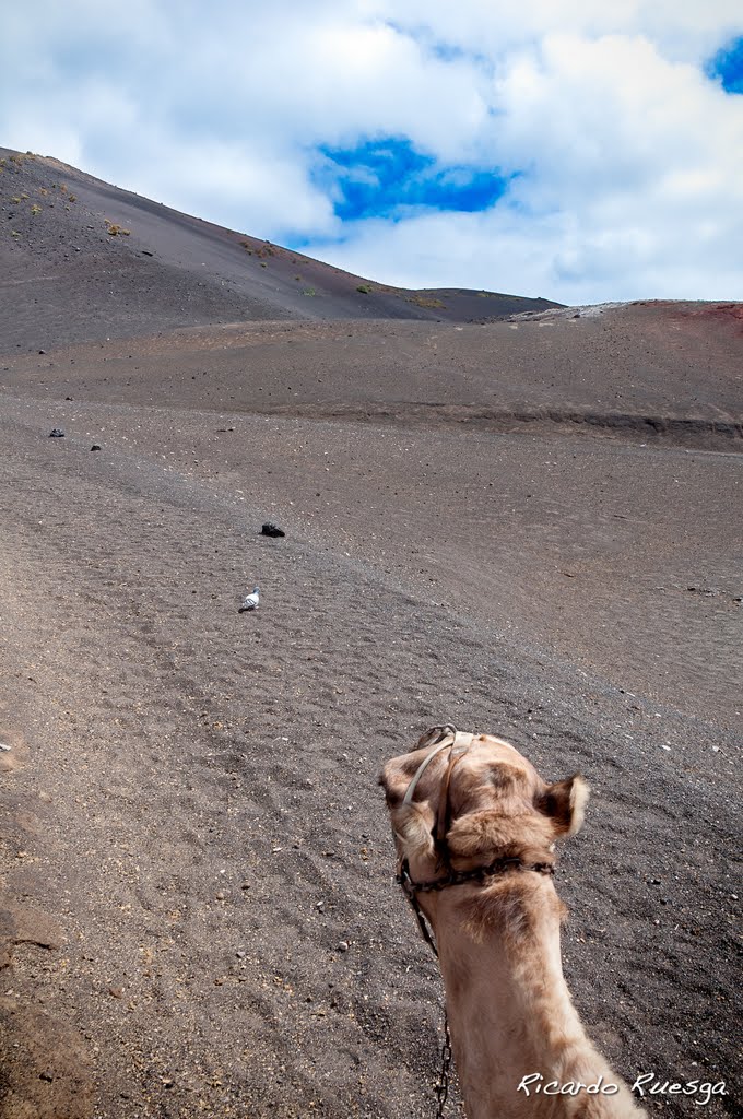 Parque Nacional de Timanfaya "Lanzarote" by Ricardo Ruesga