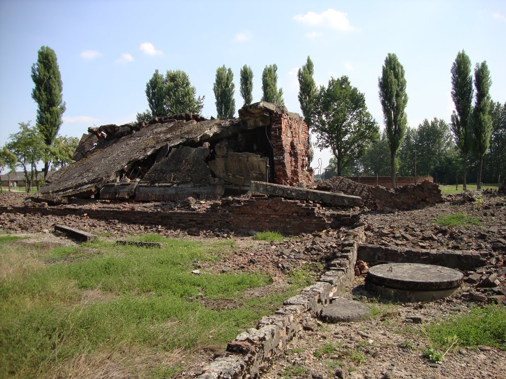 Oświęcim, Polska - Auschwitz Birkenau (Krema III ruins at Birkenau) by L.S.Macedo