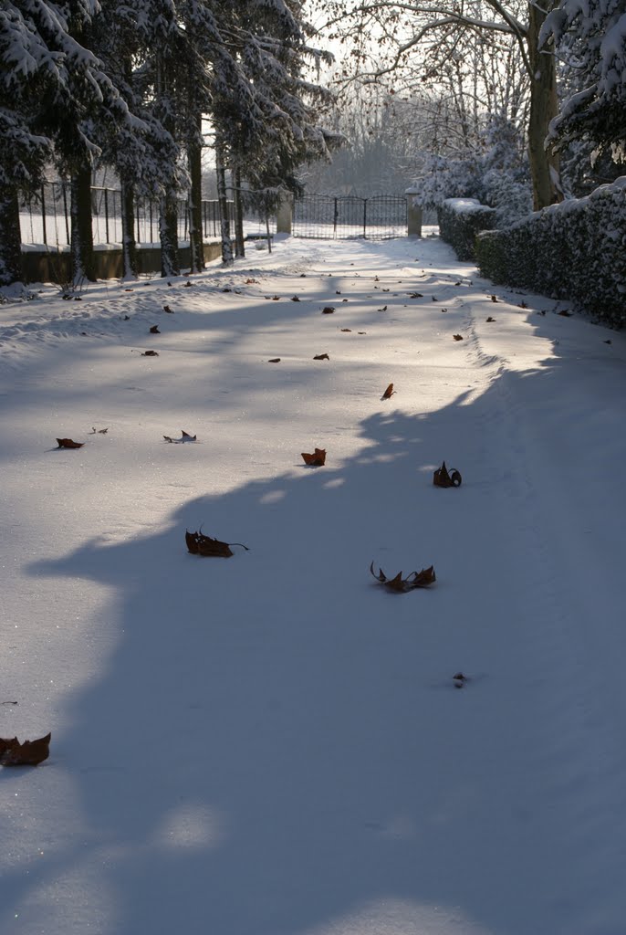 2009 winter time by György Kovács