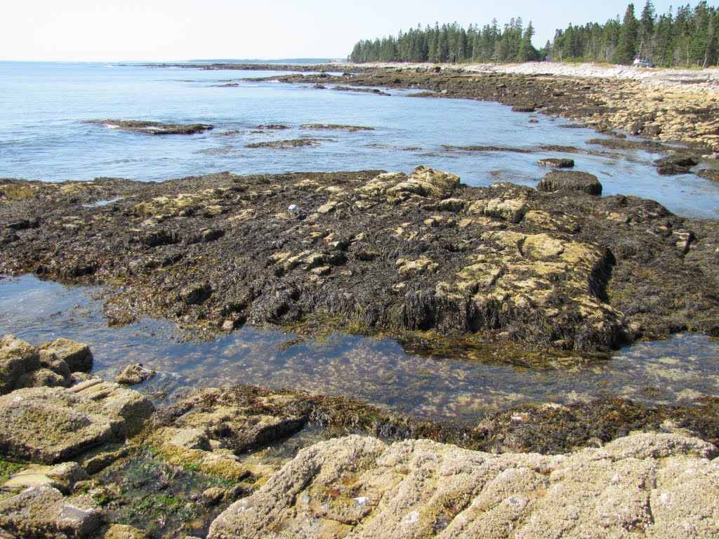 Seawall view Southwest by Chris Sanfino