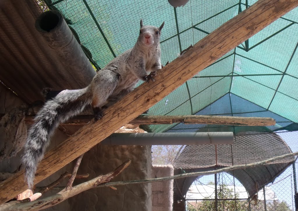 Zoo Arequipa, "ZooMundo" by villa-melgar-hotel-5…