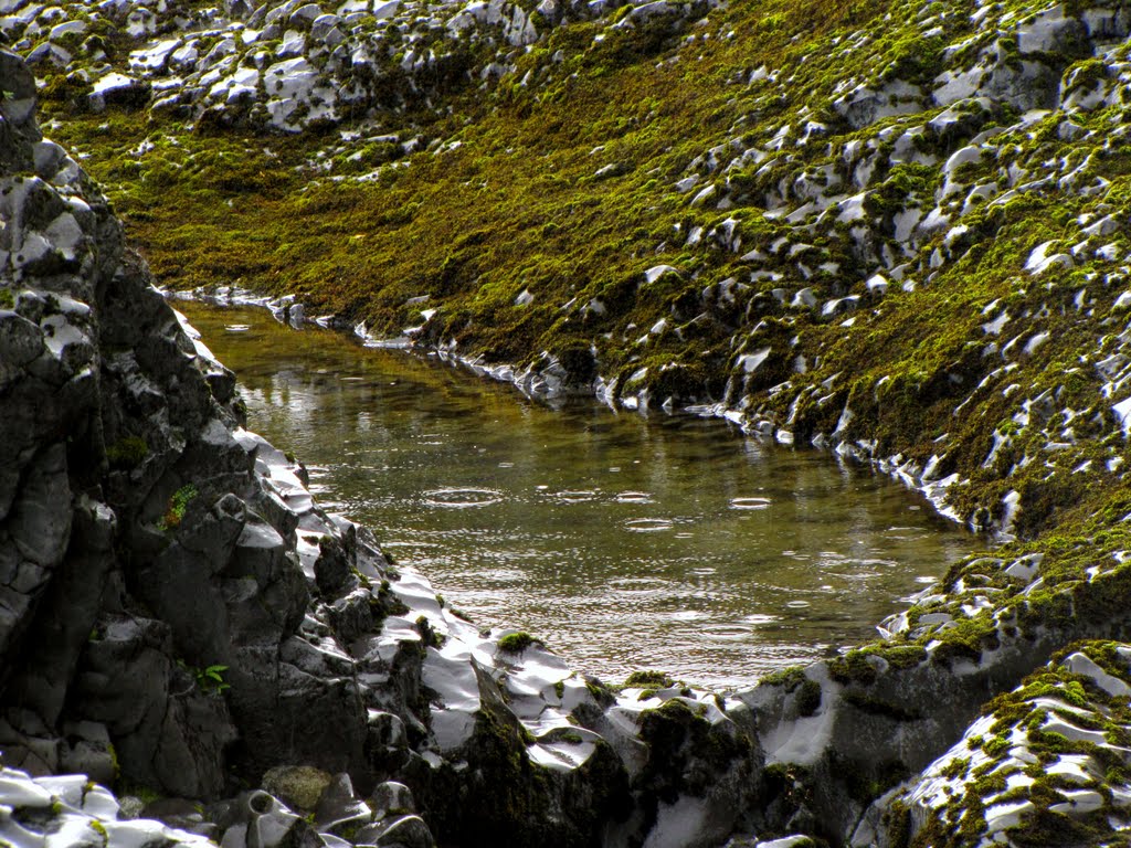 Lluvia cerca de los Saltos de Petruhué, X Región, Chile. by André Bonacin