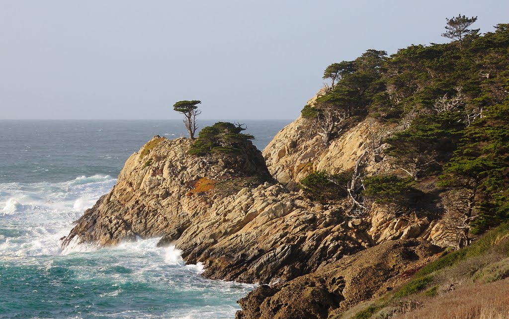 Point Lobos, South Point by rtmisawa