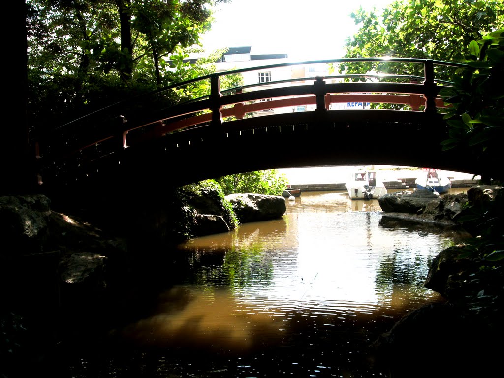 Pont à l'Île de Versailles - Juin 2010 by Noé'