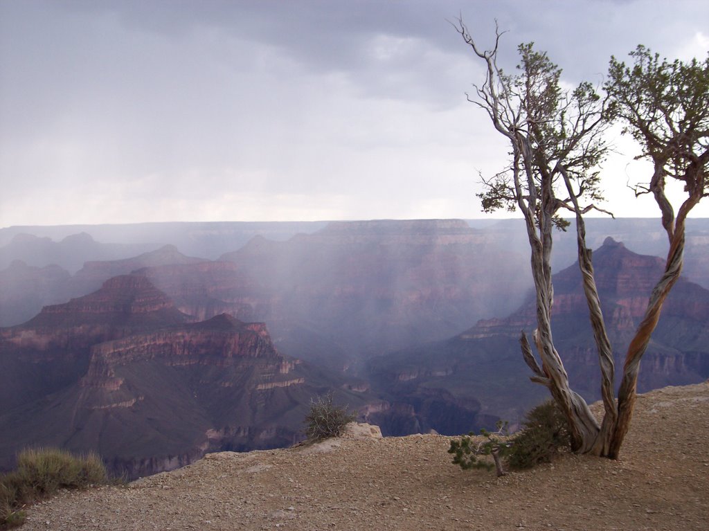 Grand Canyon - Thunder Storm Moving In by TFFenton