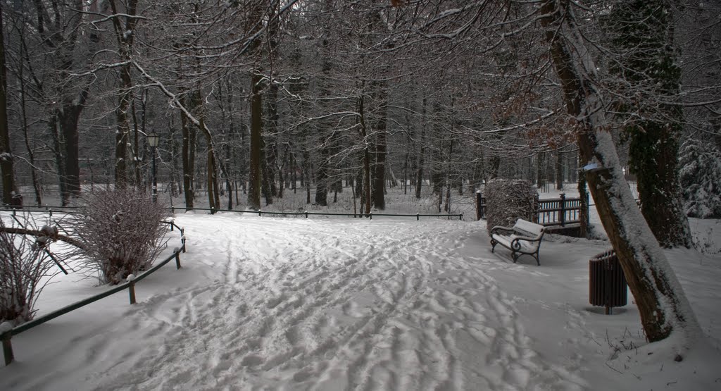 Maximir park in winter by Wakataka Society