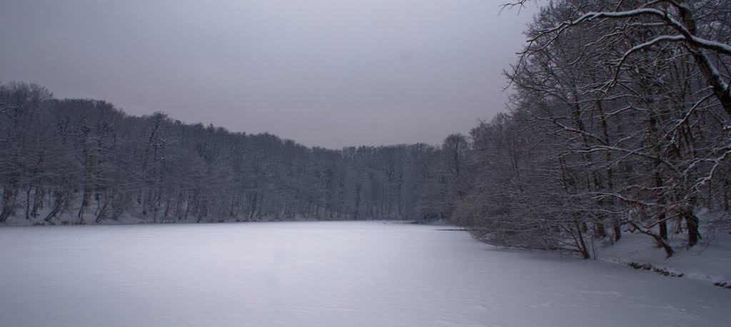 Maximir park in winter by Wakataka Society