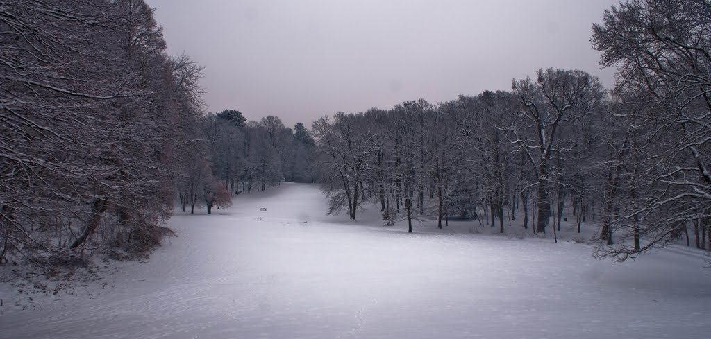 Maximir park in winter by Wakataka Society