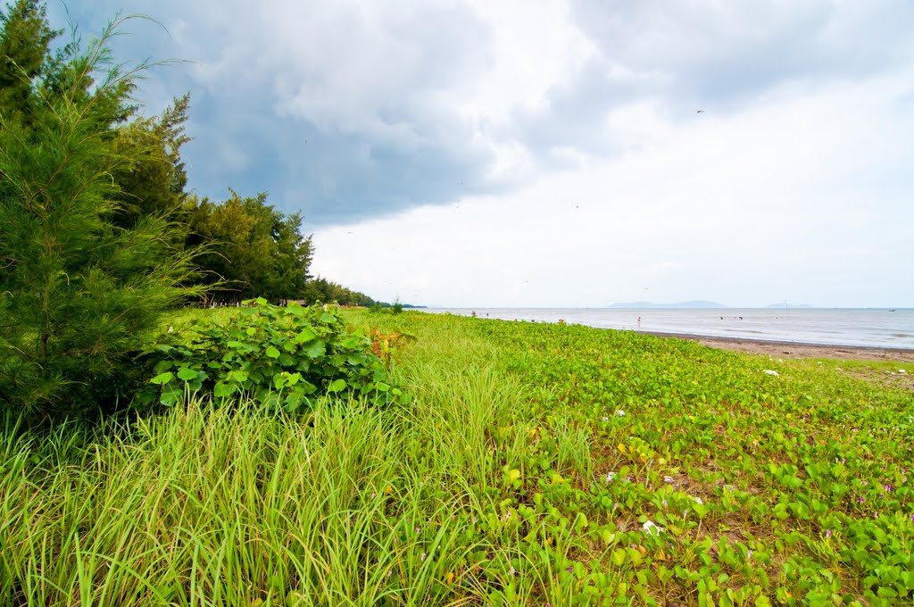 Cần Giờ beach by Nguyen Loc Trieu Ngu…