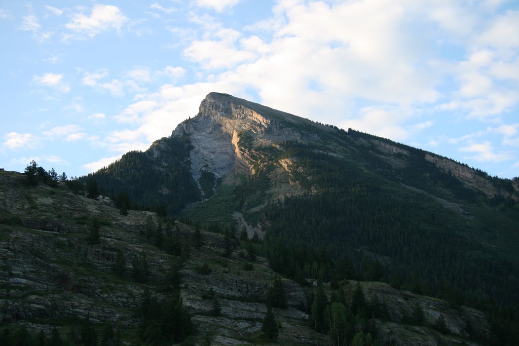 Crystal Mill Vista by Richard Ryer