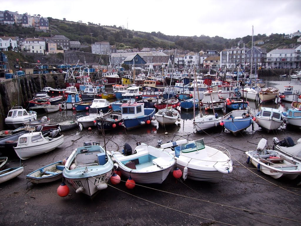 Mevagissey Harbour, Mevagissey, Cornwall by Ruth Craine