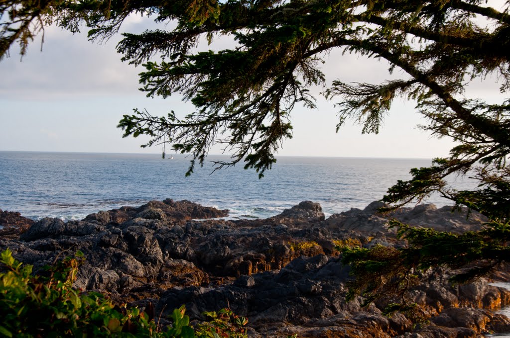 Wild Pacific Trail, Vancouver Island, BC shoreline by SugarMcK