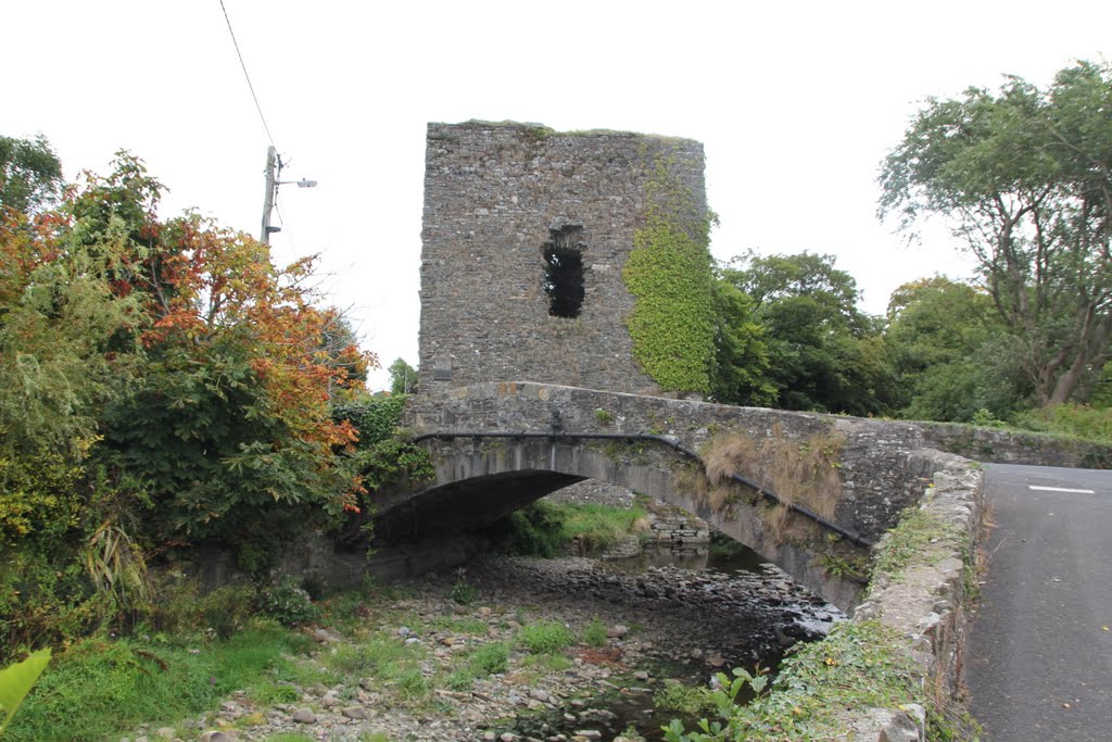 Castle, Glin, Co. Limerick, Ireland by Tomasz Bukowski