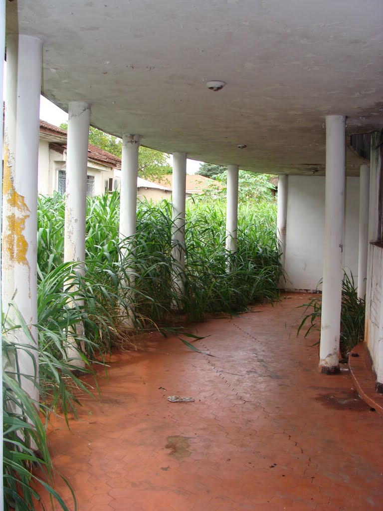 UMES-União Maringaense dos Estudantes Secundaristas by Deprá