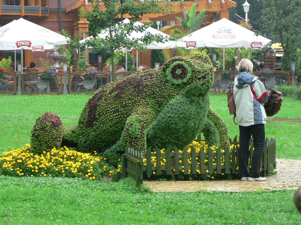 Krynica Zdrój - green frog / zielona żaba by Anna Wielgosz