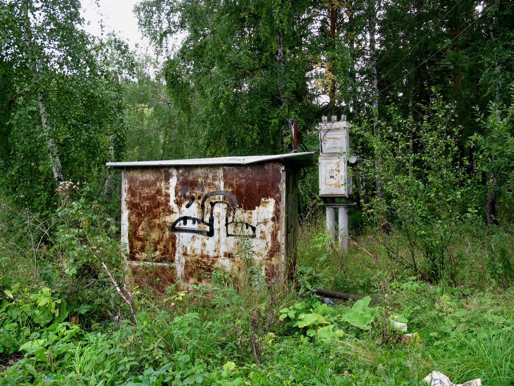 Трансформаторная у озера (Transformer near the lake) / 06.09.2010 by Sergey Chadin