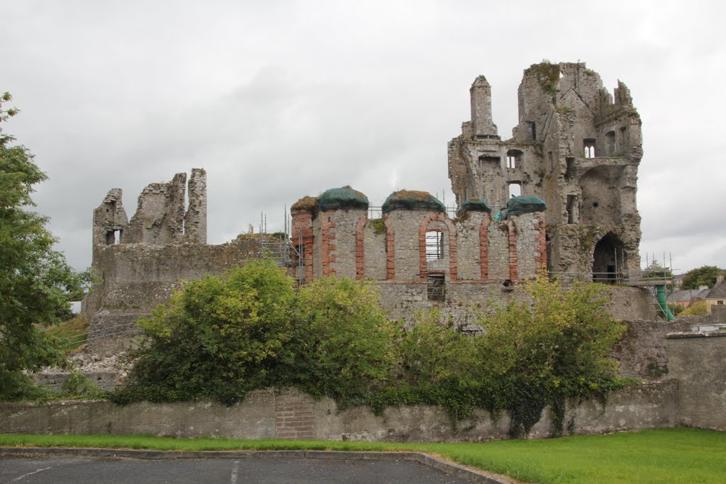 Castle, Askeaton, Co. Limerick, Ireland by Tomasz Bukowski