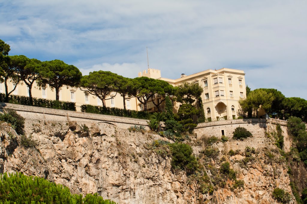 Le Palais Princier by Marc LECOCQ