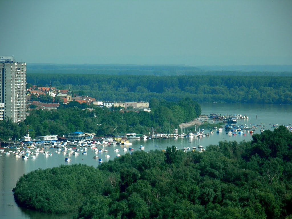 Zemun from BC "USCE" by males